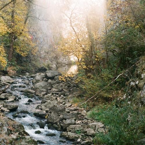 Photo #5314108