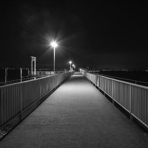 Photo #5314321