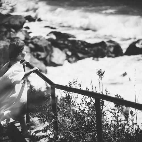 Photo #5314354