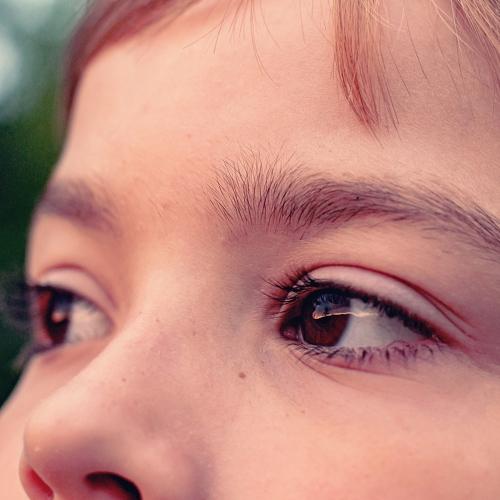Photo #5314362