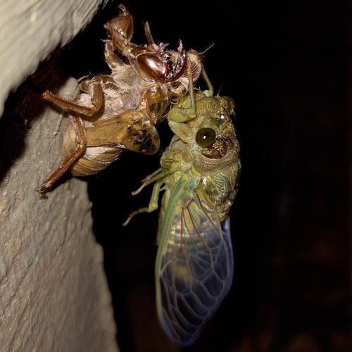 Photo #5314684
