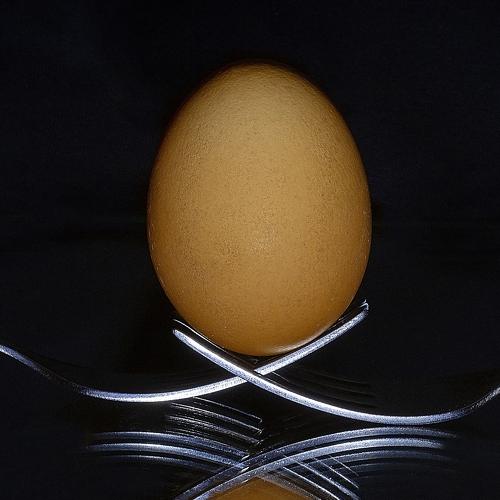 Photo #5314843