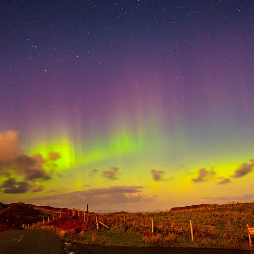 Photo #5315014
