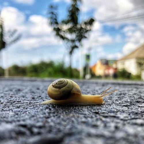 Photo #5316361