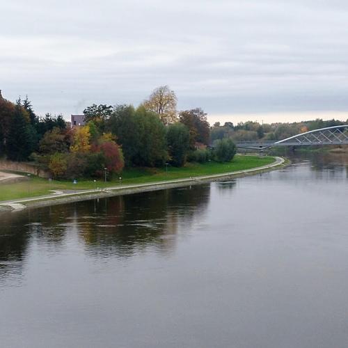 Photo #5316655