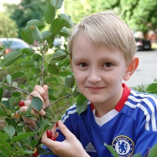Photo #5316657