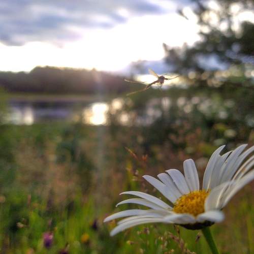 Photo #5316666