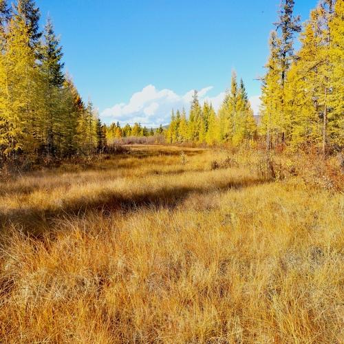 Photo #5317248