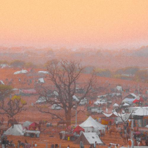 Photo #5317301