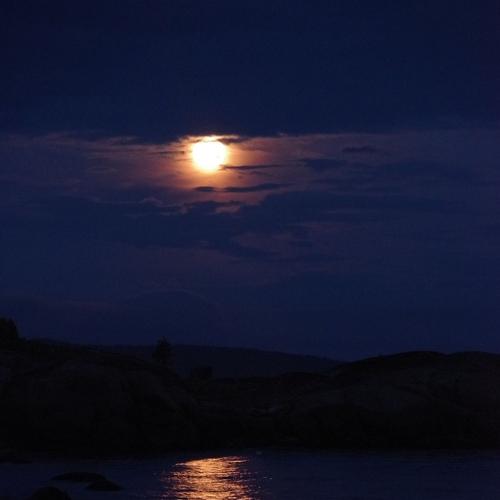 Photo #5317463