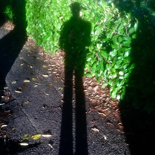 Photo #5317695