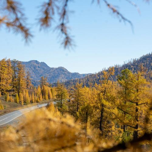 Photo #5317801