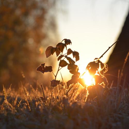 Photo #5317823