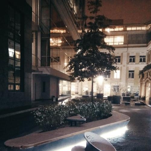Photo #5317838