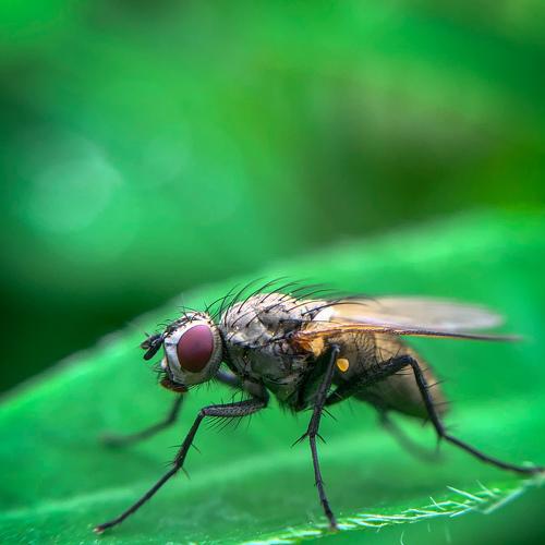 Перед взлетом