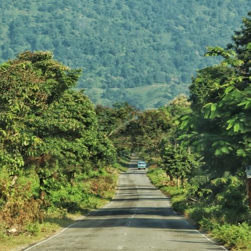 Photo #5318024