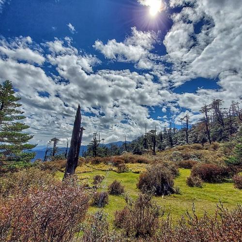 Photo #5318036