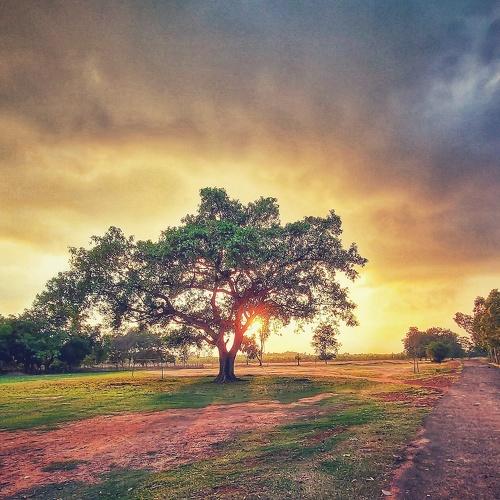 Photo #5318092