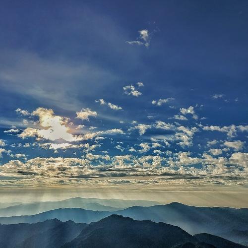 Photo #5318110