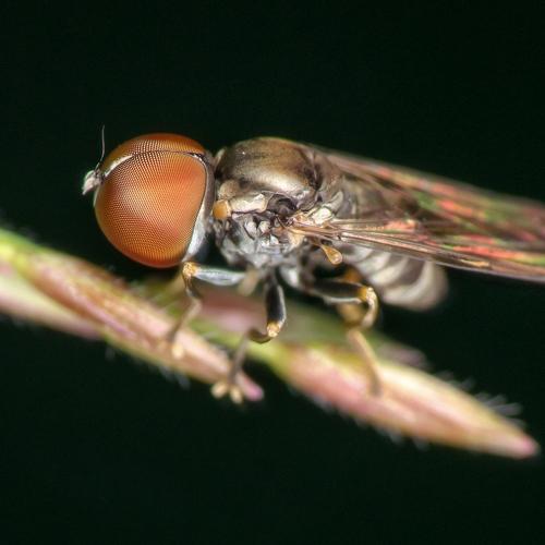 Photo #5318453