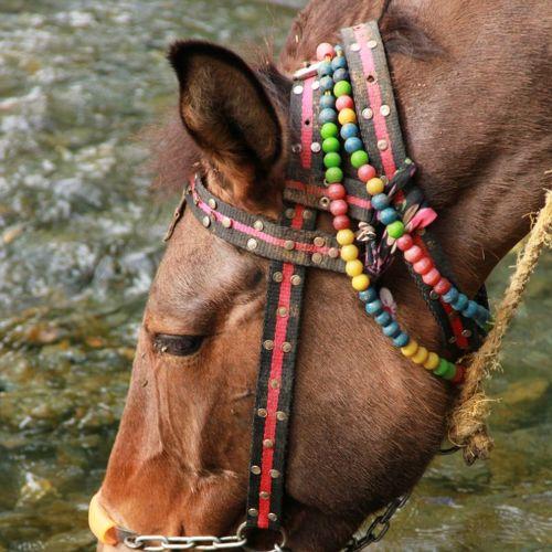 Photo #5318535