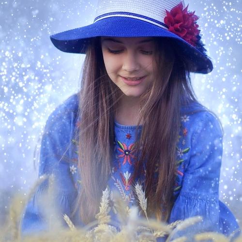 Photo #5318843