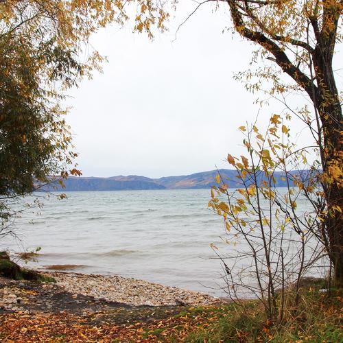 Photo #5319007