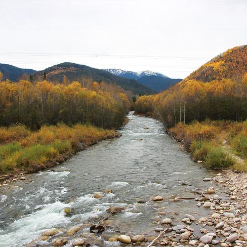 Photo #5319008