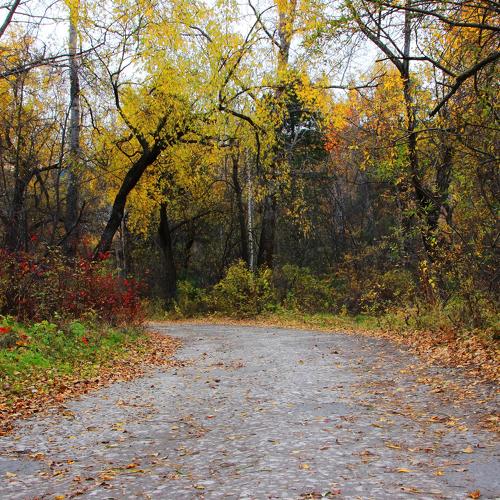 Photo #5319009