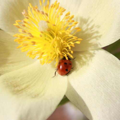 Photo #5319120
