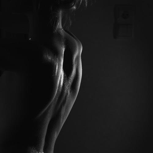 Photo #5319308