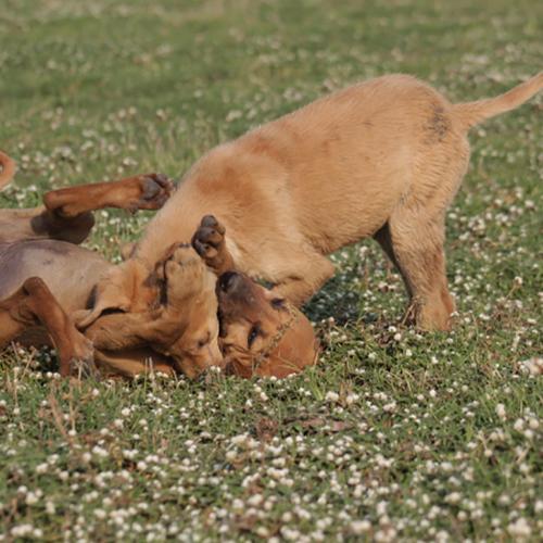 Photo #5319778