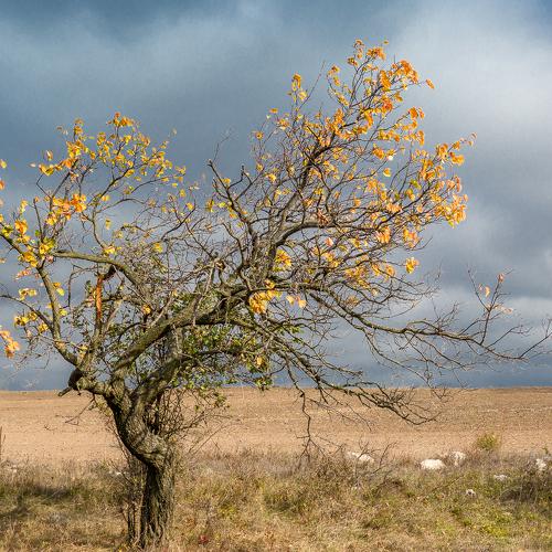 Photo #5320239