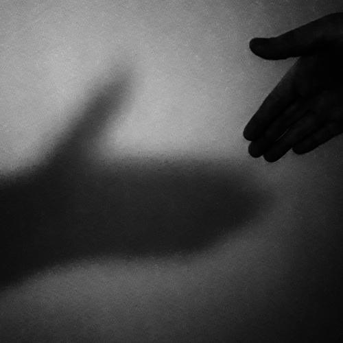 Photo #5320262