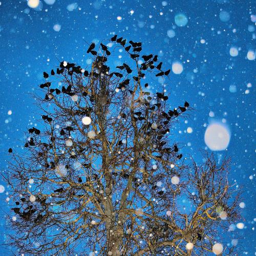Photo #5320704