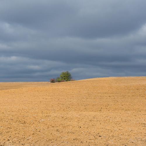 Photo #5320739