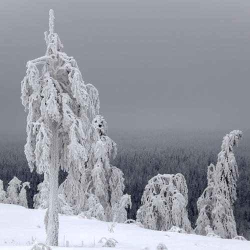 Photo #5321207