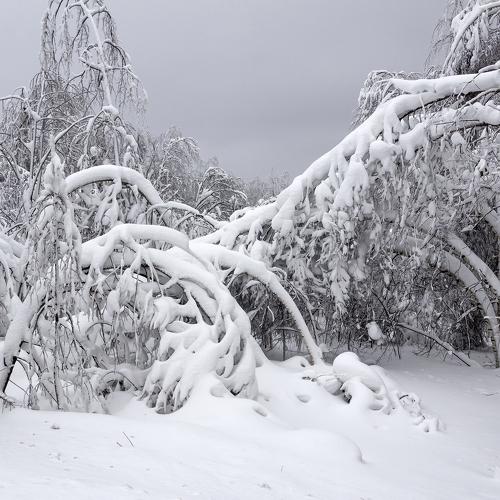 Photo #5321209