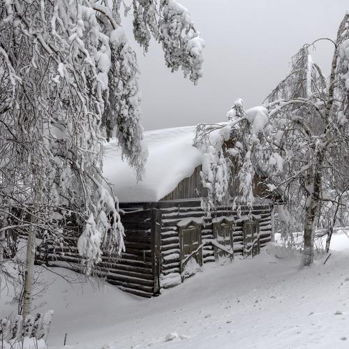 Photo #5321211