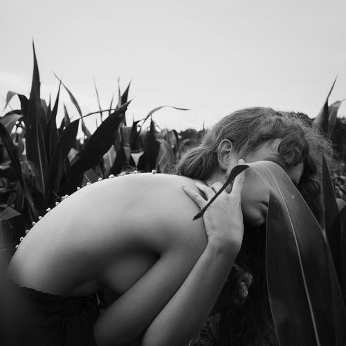 Photo #5321381