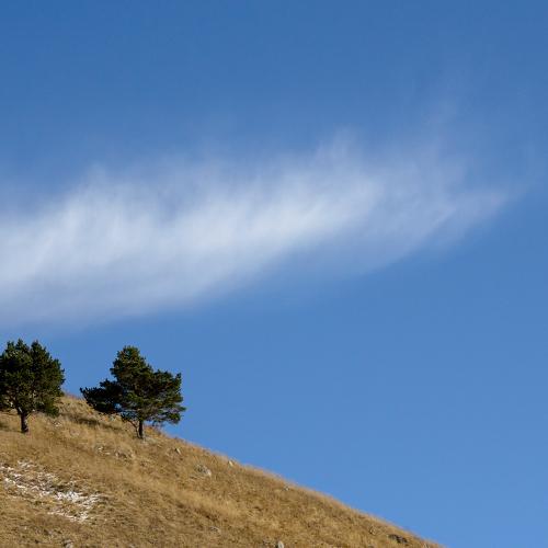 Photo #5321911
