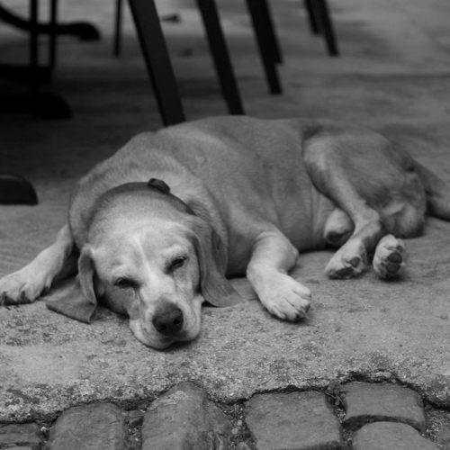 Photo #5321992