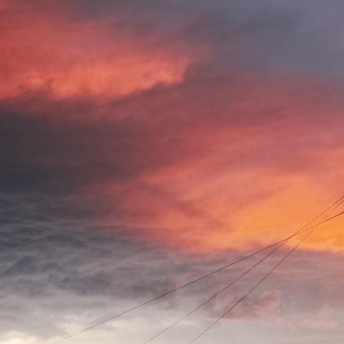Photo #5322031