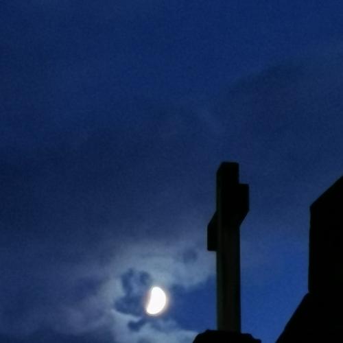 Photo #5322087