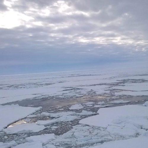 Photo #5322119