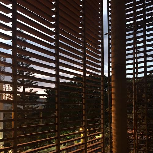 Photo #5322389