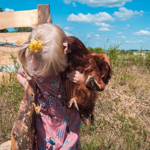 Photo #5322774