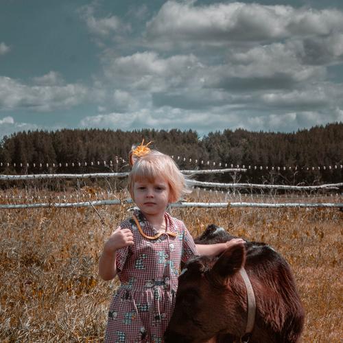 Photo #5322775