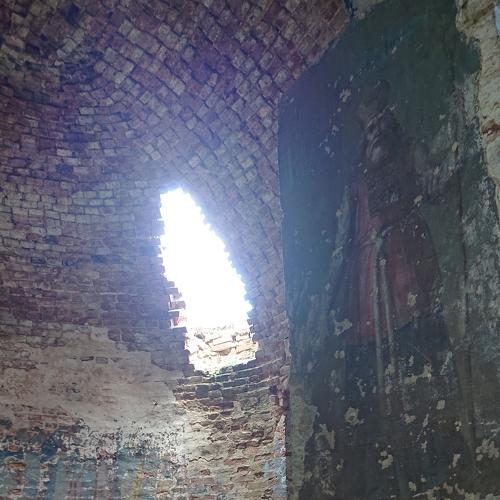 Photo #5323045
