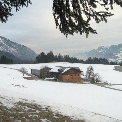 Photo #5323058